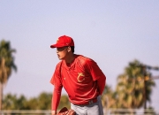 开云官网-包含棒球热度飙升，网友热议不断的词条