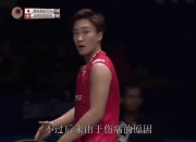 开云体育中国-马来西亚队绝杀印尼队，桃田贤斗关键制胜