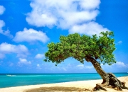 开云官网-风暴眼与绝对频率，当美国队的无情切割遇上德里赫特的孤独掌控