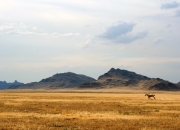 开云官网-西甲国家德比之夜，当星辰闪耀，他是永恒运转的齿轮