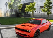 开云体育登录-东方长城VS希腊神话，当辽宁全华班逼出最强字母哥，他却刷新了一项尘封60年的纪录