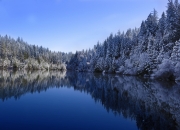 开云体育平台APP-虚幻助攻，梅西在挪威与克罗地亚之战中成为关键先生