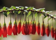 开云体育app-迈阿密狂飙，美利坚战车横扫雷恩王朝的终极一役