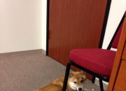 开云体育入口-太阳杀手与沉默追猎者，当胜利成为唯一的日常