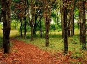 开云下载-王牌对王牌！萨拉赫爆发难救主，AC米兰三分钟改写剧本