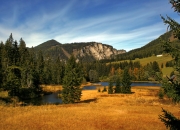 开云体育官网-南美风暴击碎高卢防线—迪亚斯一人之力改写北伦敦命运