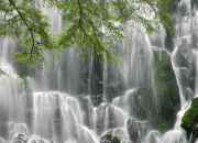 开云体育app-历史首秀即献祭与重生，美加墨不眠夜，锡安献祭过往换永恒