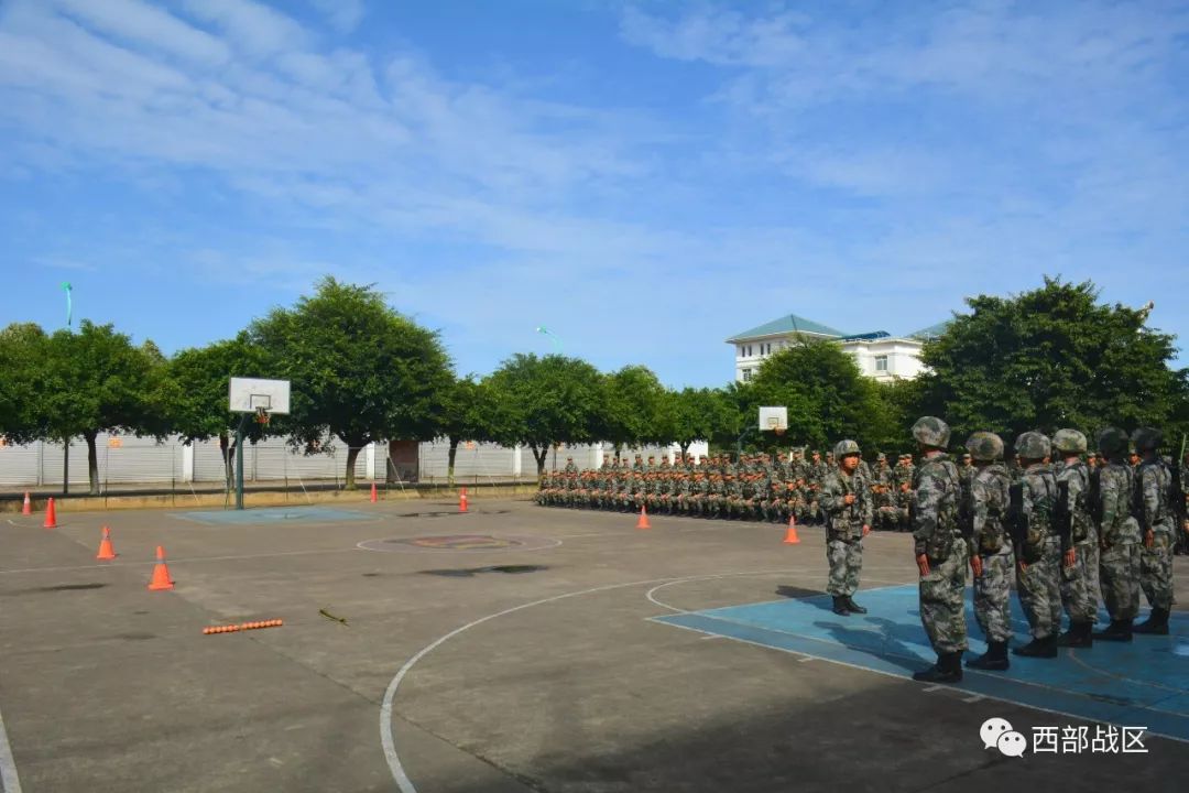 滚球预测战术革新取得奇效，引发战术热潮的简单介绍