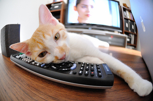 鏖战塞维利亚，战术熔炉中的阿克，稳定输出永不断电的现代中场范本