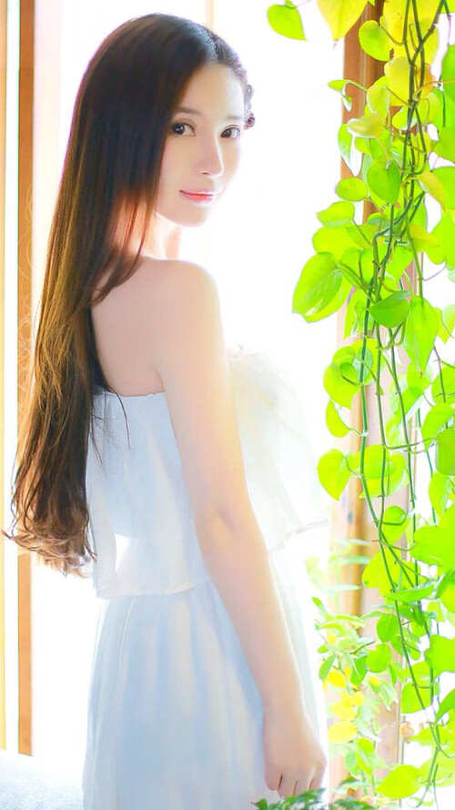 亚平宁的黄昏,布雷默的教科书防线与蓝白军团在意大利土地上的加冕