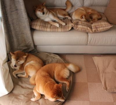 黄色魅影，欧洲利刃，格列兹曼导演比利亚雷亚尔式碾压，法国撕裂巴拉圭防线