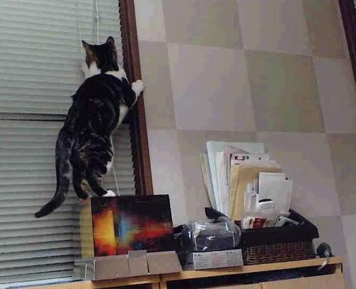 天穹之上，当绝对统治力同时降临地表与星空