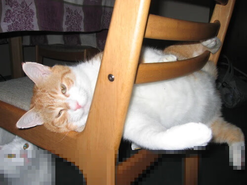 双线篮球史诗，辽宁队赛博穿甲，英格拉姆2026世界杯觉醒