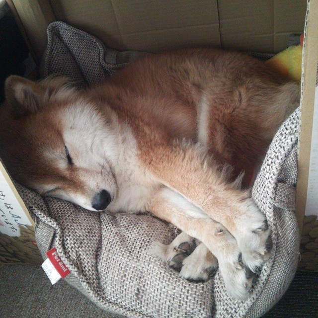 跨越沙漠的加时赛,卡塔尔如何抢七晋级巴黎