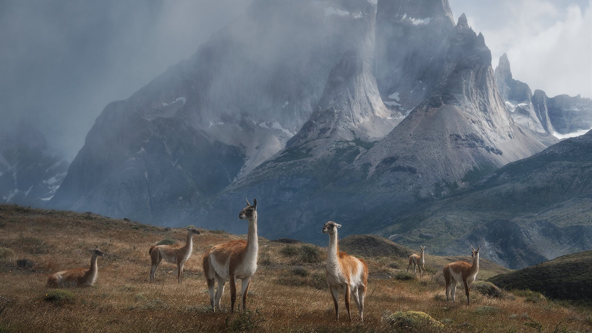 十六年的修正,2026世界杯之夜,保罗的完美救赎