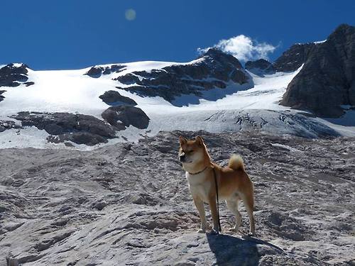 时空错位记，当韩式胜利与斯通斯的冰球心灵同频共振