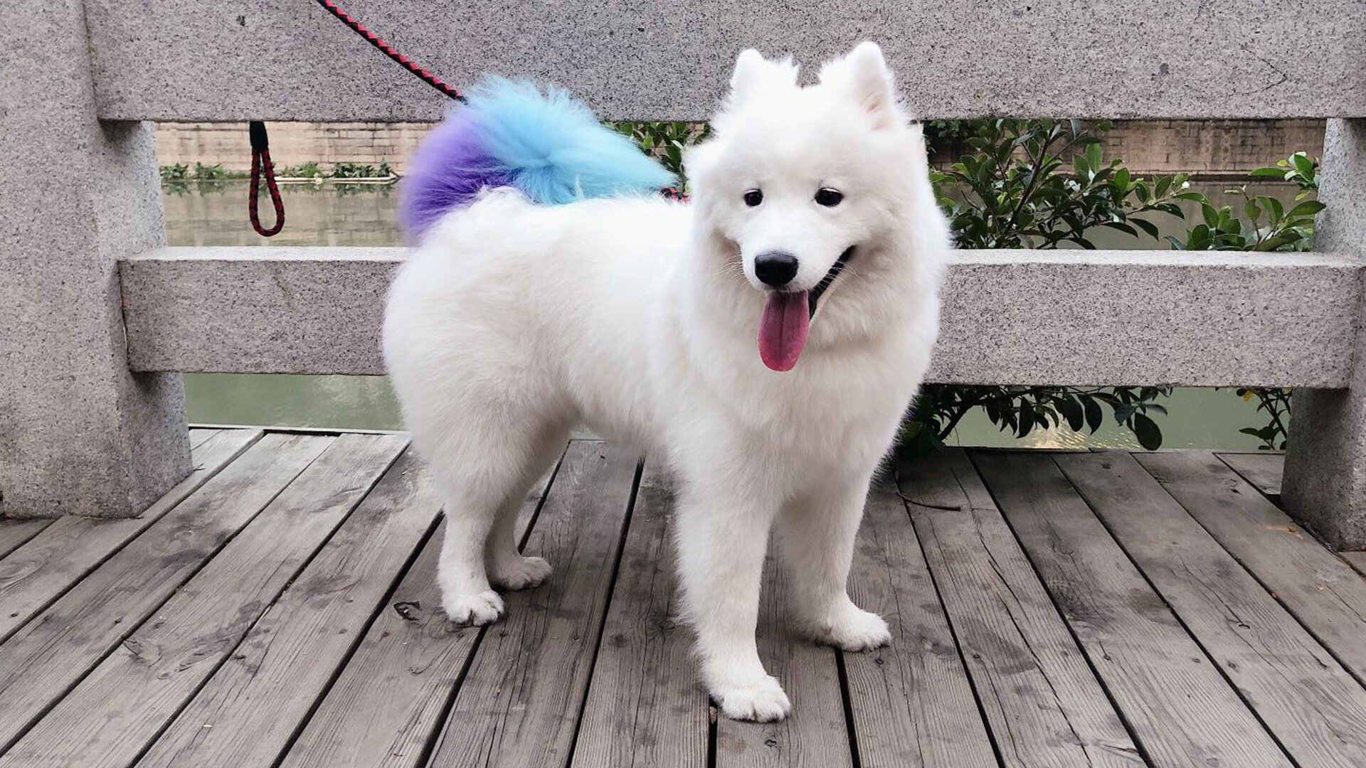 跨界烽火，独行侠迎战广厦队，贝恩火热状态点燃篮球盛宴