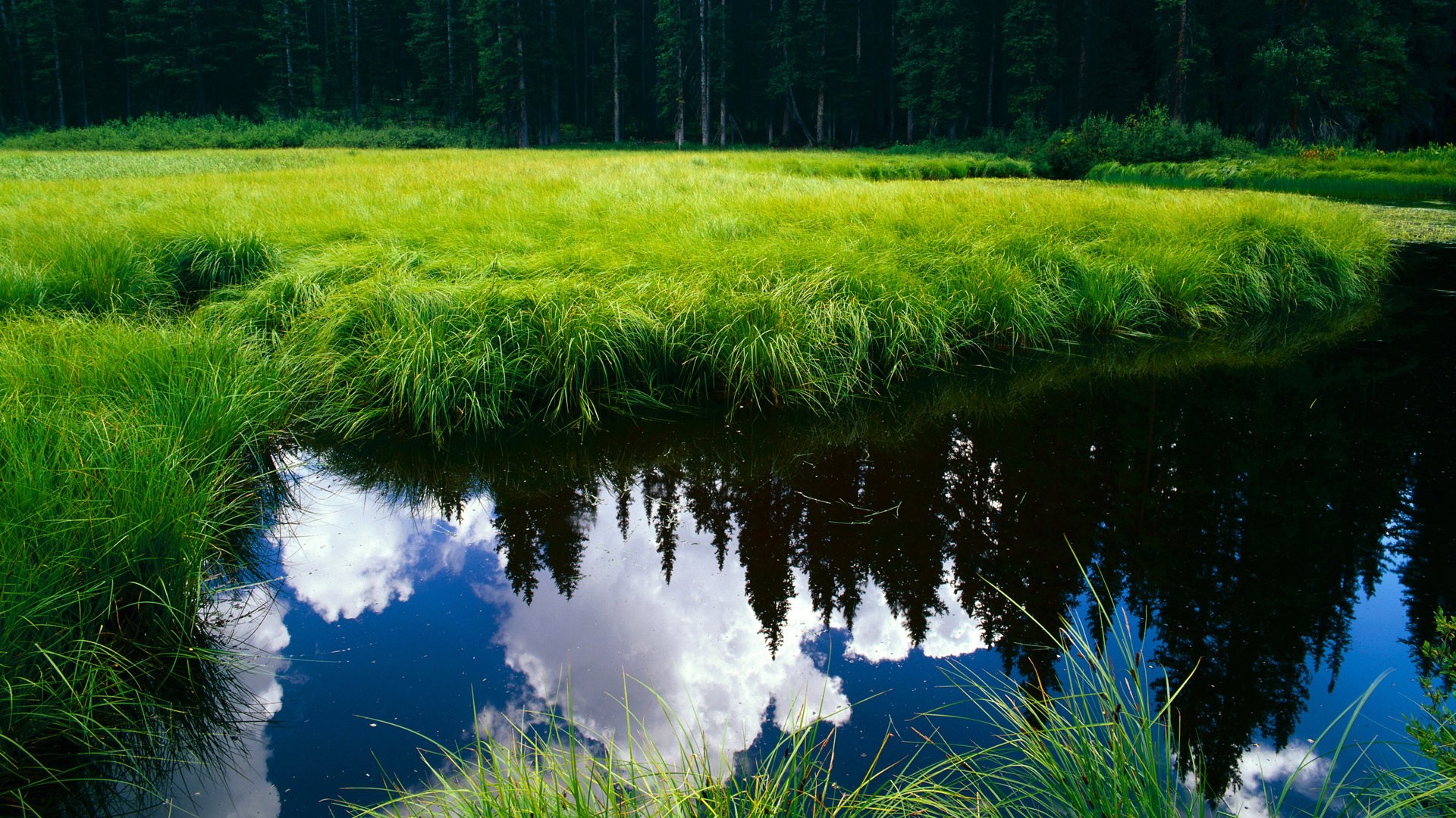 扩展方案(选一即可)