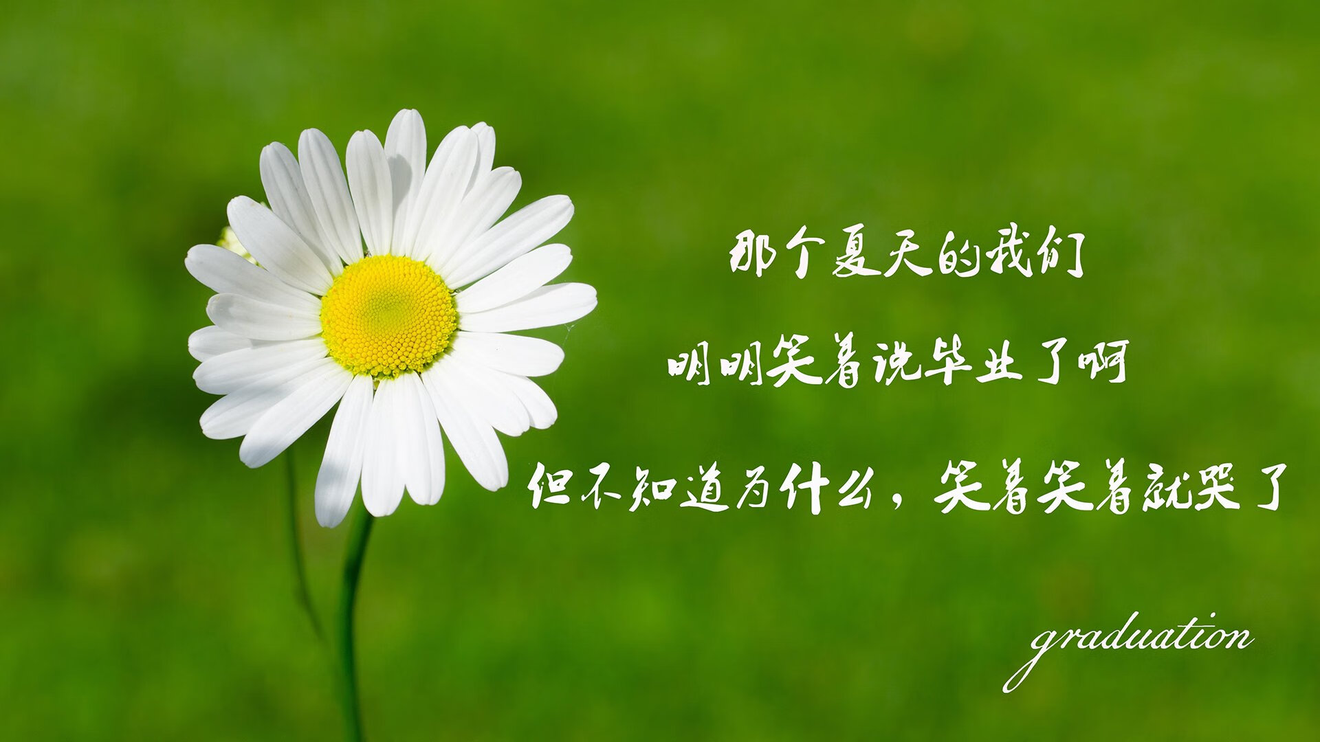 蓝衣军团的绝唱与复苏,2026世界杯H组生死战,意大利绝杀匈牙利,莱万独木难支